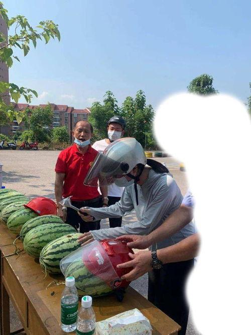 文安大城吃瓜事件,一场引发热议的网络狂欢