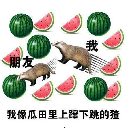 营养圈吃瓜,吃瓜也能养生，这些瓜类营养知识你了解吗？