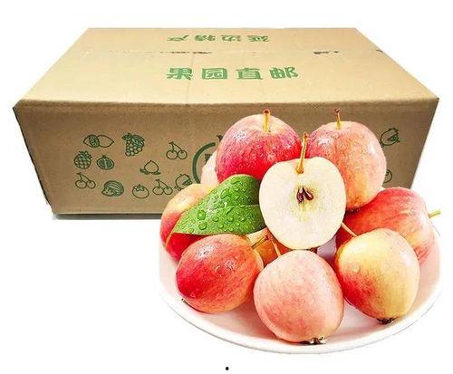 冬吃柚子夏吃瓜,冬柚夏瓜，健康生活指南