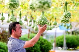 奇怪的雕塑带你吃瓜,带你走进艺术与美食的跨界之旅