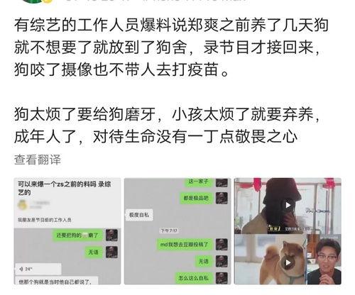 哦哇 吃瓜,揭秘娱乐圈那些不为人知的幕后故事