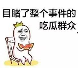 长春吃瓜群众,吃瓜群众的麻辣点评