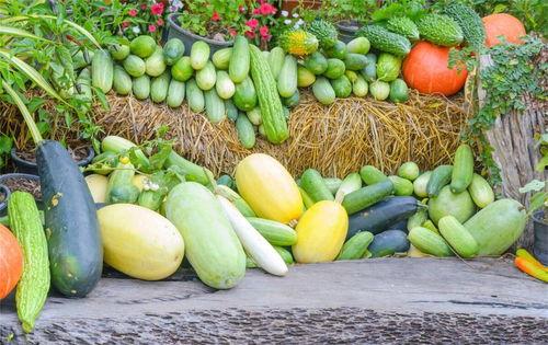 成都3号吃瓜,揭秘网络热议背后的真相