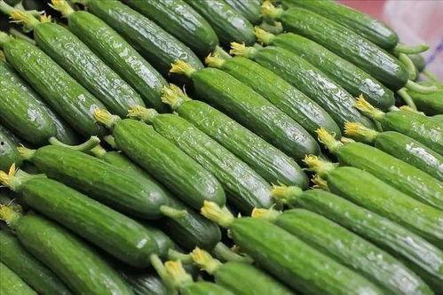 吃瓜营养价值,夏日消暑佳品背后的健康秘密