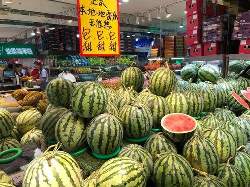 温州花店老板吃瓜,见证城市烟火气