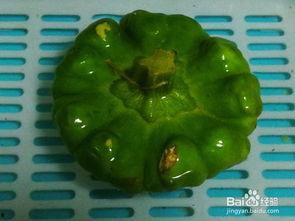 孕妇可以吃姜饼瓜,营养美味，孕妇的甜蜜选择